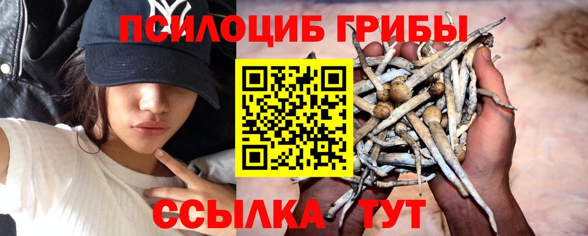 Галлюциногенные грибы прущие грибы Назарово
